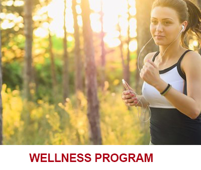 Aetna Wellness Program